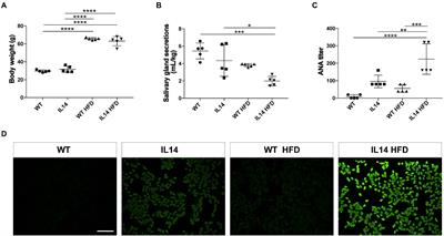 High-fat diet-induced intestinal dysbiosis is associated with the exacerbation of Sjogren’s syndrome